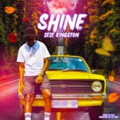 Shine artwork