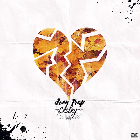 Cover artwork for Lesley