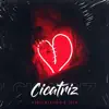 Stream & download Cicatriz - Single