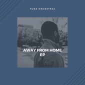 Away from Home artwork