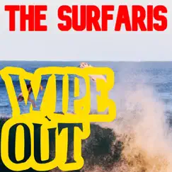 Wipe Out (Live) Song Lyrics