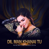 Dil Man Khanai Tu artwork