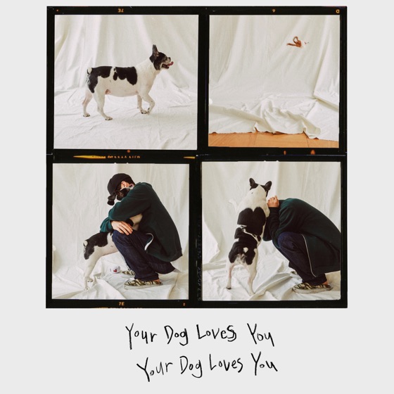 Cover artwork for Your Dog Loves You (feat. Crush)