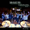 Alma do Blues (Ao Vivo) [feat. Big Band Alma do Blues] - Skin Blues Trio
