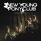 Stone - New Young Pony Club lyrics