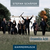 Schäfer: Kammermusik artwork