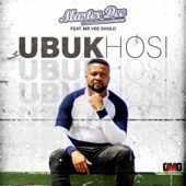 Ubukhosi (feat. Mr Vee Sholo) artwork