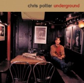 Chris Potter - Nudnik
