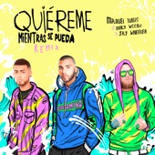 Quiéreme Mientras se Pueda (Remix) artwork