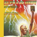 Alpha Blondy & The Wailers - Politiqui