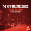 Taking Me Down [Dj Spinna Journey Remix] [Dj Spinna Journey Remix] [feat. DJ Spinna] - Single