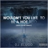 Wouldn't You Like To Be A Hoe Too (Remix) - Single