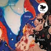 Voice & Strings & Timpani (feat. Mari Kvien Brunvoll, Eva Pfitzenmaier, Stein Urheim & Kim Åge Furuhaug) artwork