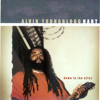 Down in the Alley - Alvin Youngblood Hart