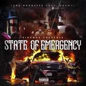 State of Emergency (feat. Bosmac) artwork