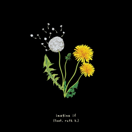 Cover artwork for imagine if (feat. ruth b.)