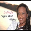 Caged Bird... Flying