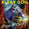 The Pound album lyrics, reviews, download