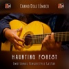 Haunting Forest (Emotional Fingerstyle Guitar)