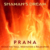 Prana: Music for Yoga, Meditation & Relaxation artwork