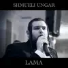 Lama (feat. Blue Melody) - Single album lyrics, reviews, download