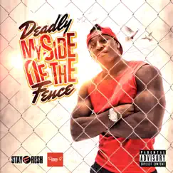 My Side of the Fence by DEADLY STAYFRESH album reviews, ratings, credits