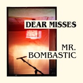Mr. Bombastic artwork