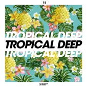 Tropical Deep, Vol. 15 artwork