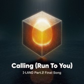 Calling (Run To You) artwork