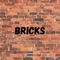 Bricks (feat. Malcolm Kells) - Saucy Justin lyrics