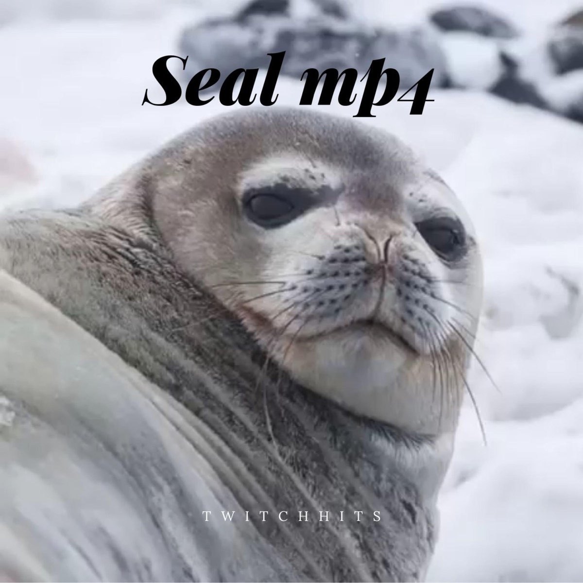 udskiftelig Dem på en ferie Seal Mp4 - EP by TwitchHits on Apple Music