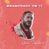 Enamorado de Ti - Single