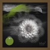 DJ Chus & David Penn - Who