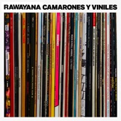 Camarones y Viniles artwork