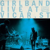 Why They Hide Their Bodies Under My Garage (Live at Vicar Street) artwork