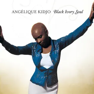 ladda ner album Download Angélique Kidjo - Black Ivory Soul album