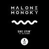 She Lyin' (feat. Ali Story) - Single