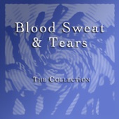 Blood, Sweat & Tears - Lisa Listen to Me