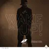 Wake Me Up (Remixes) - Single album lyrics, reviews, download