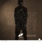 Wake Me Up - Avicii lyrics