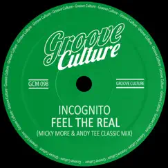 Feel The Real (Micky More & Andy Tee Remix) - Single by Incognito album reviews, ratings, credits