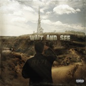 Wait and See artwork