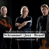 Schrammel und die Jazz via Brasil artwork