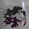 Into the Fire - Single