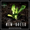 The New Breed - Single