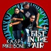 Fist in the Air (feat. K.A.S.P) - Single