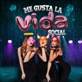Me Gusta la Vida Social (No Te Pases de la Raya) artwork