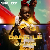 Dans le gang artwork