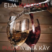 Pullo viiniä käy (Two More Bottles of Wine) artwork