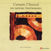 Carnatic Classical On Various Instruments - Various Artists